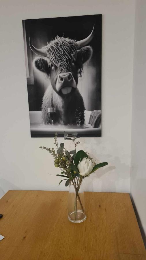 Elegant Cbd Apartment クライストチャーチ エクステリア 写真